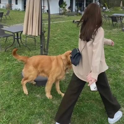 低头不见抬头见