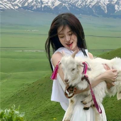 新铁金刚之金眼睛